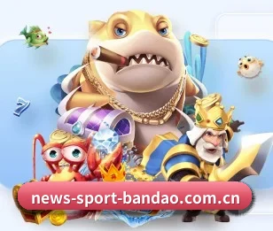 感受半岛综合的真诚与温度